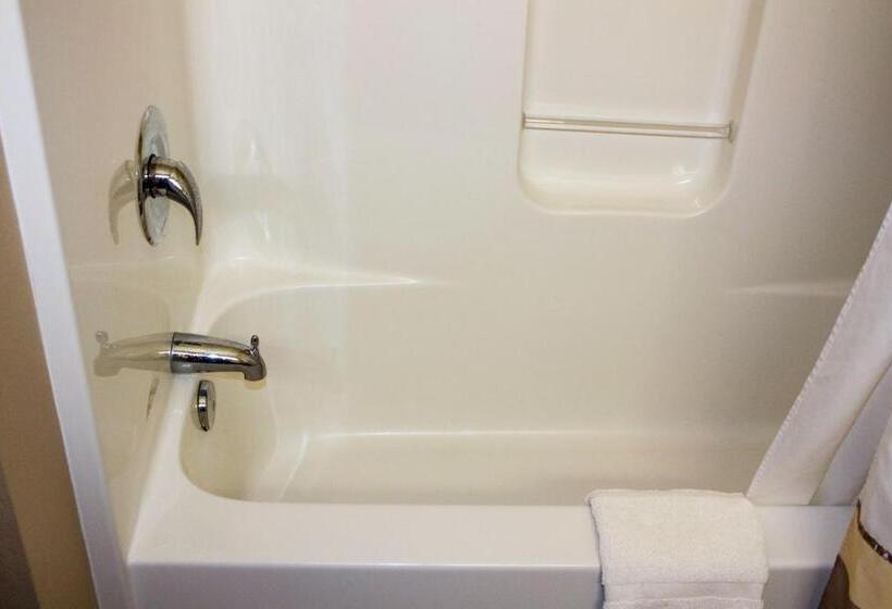 غرفة قياسية لذوى الاحتياجات الخاصة, Bowman Lodge & Convention Center