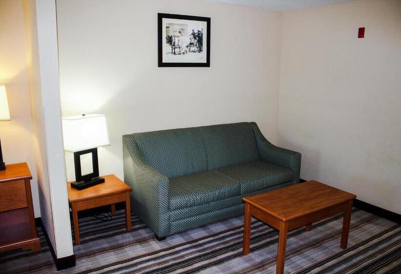 غرفة قياسية سرير كينج, Bowman Lodge & Convention Center