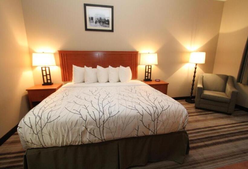 غرفة قياسية سرير كينج, Bowman Lodge & Convention Center