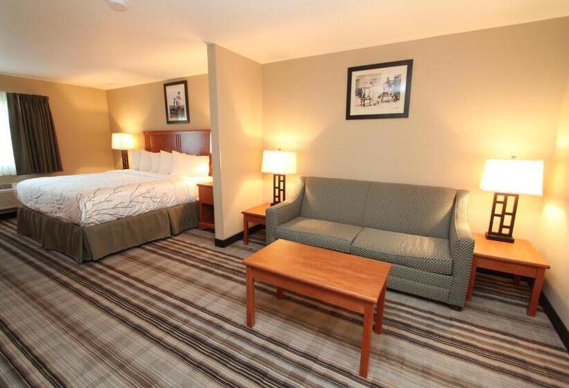 جناح ديلوكس سرير كينج, Bowman Lodge & Convention Center