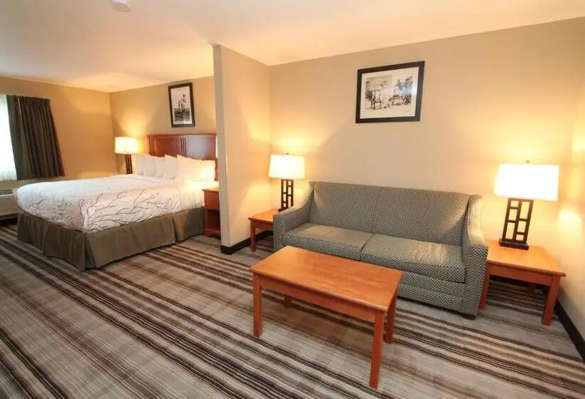 キングサイズベッドのデラックススイート, Bowman Lodge & Convention Center