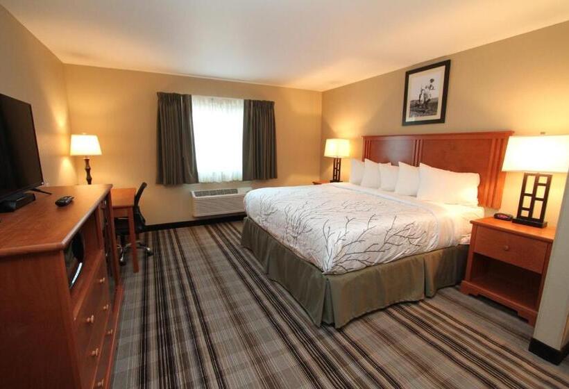 جناح ديلوكس سرير كينج, Bowman Lodge & Convention Center