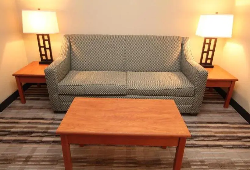 身障者適用スイートルーム, Bowman Lodge & Convention Center