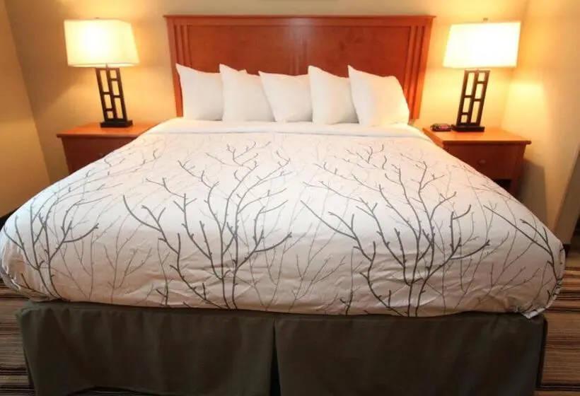 身障者適用スイートルーム, Bowman Lodge & Convention Center