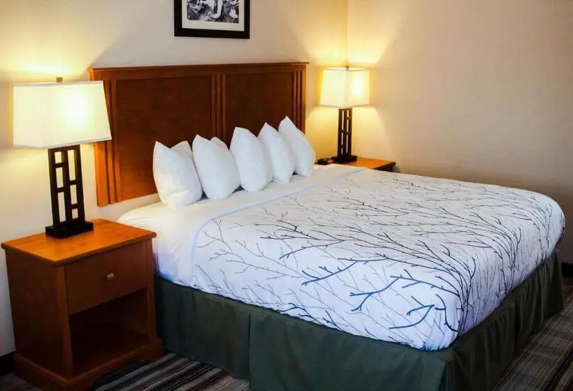 身障者適用スイートルーム, Bowman Lodge & Convention Center