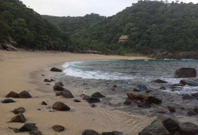 １ベッドルームハウス, Casa Luna Playa