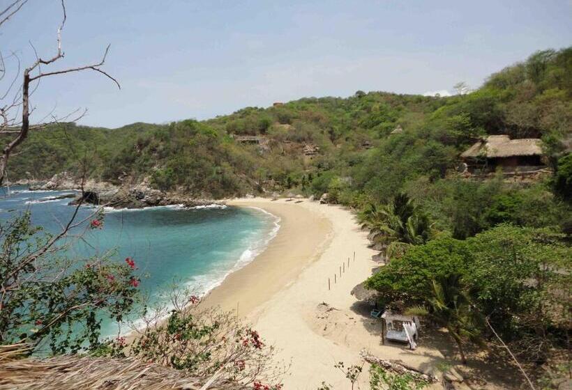 بنجلو قياسى مطل على البحر, Casa Luna Playa