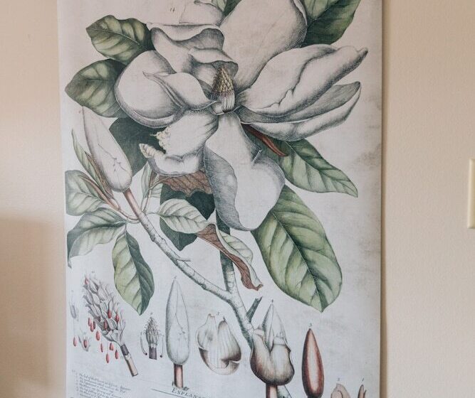 חדר דלוקס, Church Street Inn