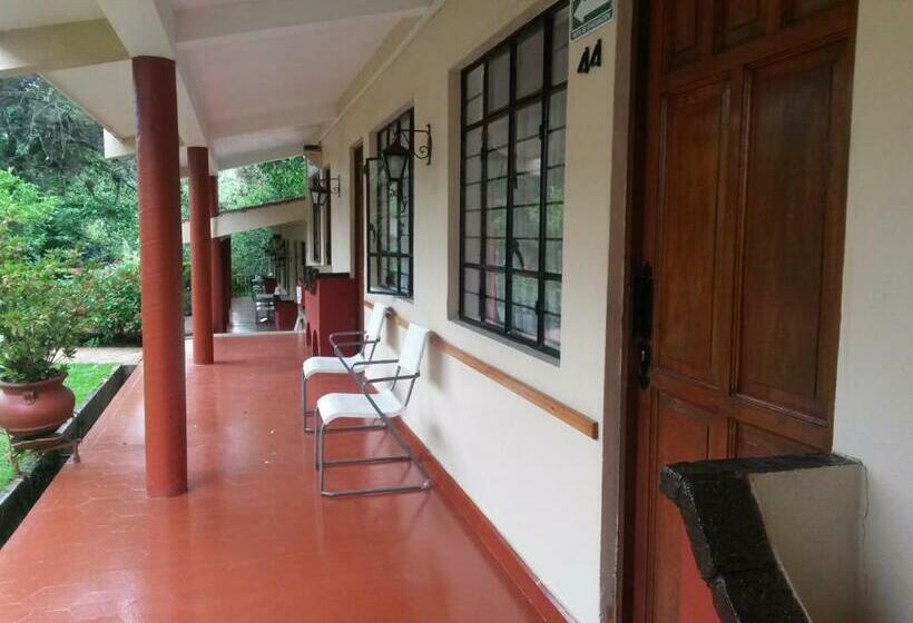 חדר אקונומי, Mi Ranchito