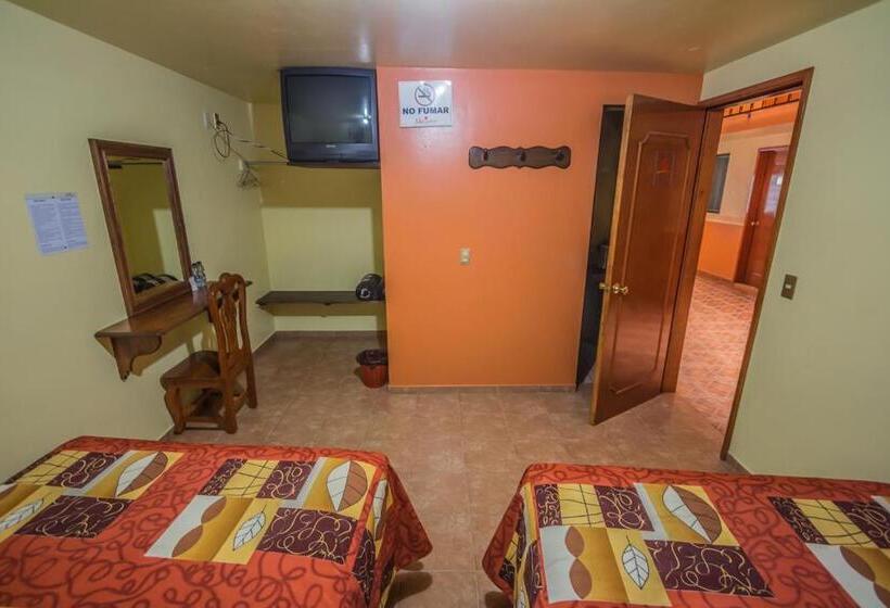 エコノミー４人部屋, Márquez