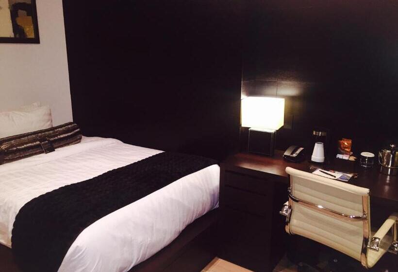 基本间, The One Boutique