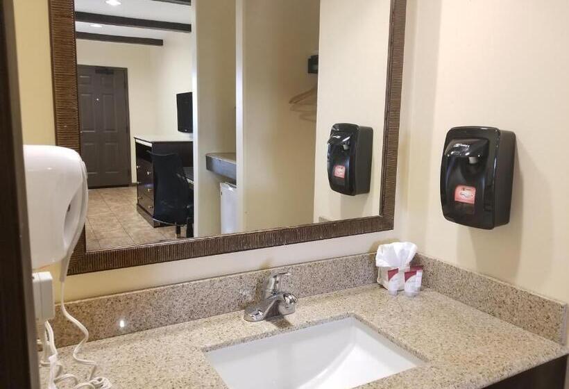 스탠다드 룸 킹사이즈 침대, Tuscan Garden Inn
