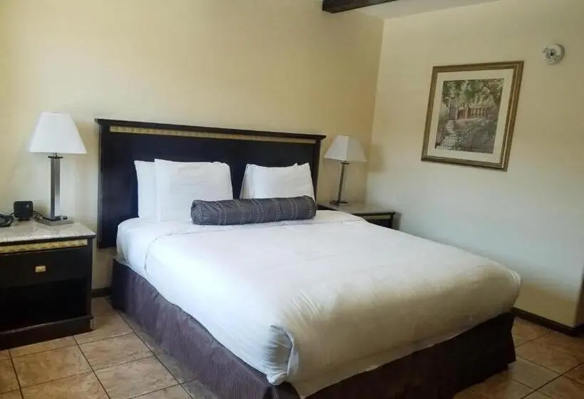 اتاق استاندارد با تخت بزرگ برای معلولان, Tuscan Garden Inn