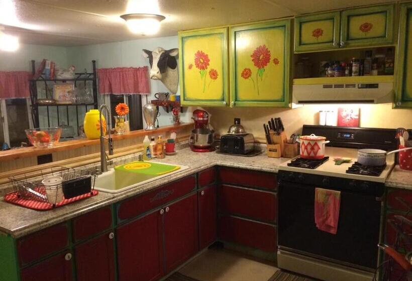 منزل غرفة نوم واحدة, Klutina Kate S B&b