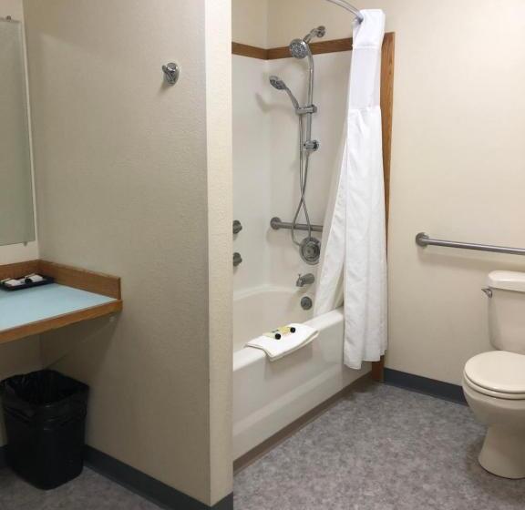 חדר סטנדרט מותאם לאדם עם מוגבלויות, Aurora Denali Lodge