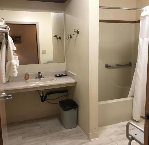 身障者適用シングルルーム, Aurora Denali Lodge