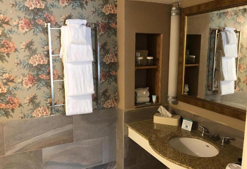 סטודיו סטנדרט, מיטה זוגית, Cascades Inn