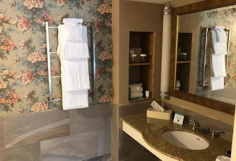 キングサイドベッドのスタンダードワンルーム, Cascades Inn