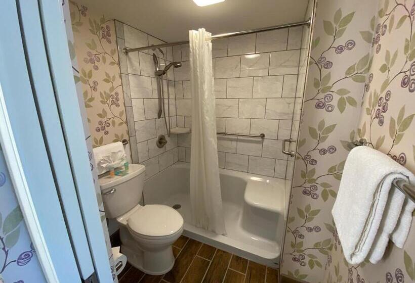 חדר סטנדרט, מיטת קינג, מותאם לאדם עם מוגבלויות, Cascades Inn