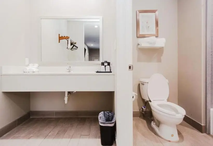 Sviitti King-vuode, Express Inn Spring
