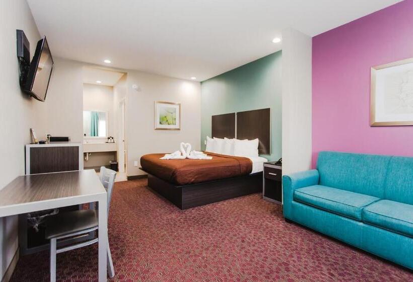 带大床的套房, Express Inn  Spring