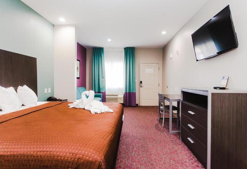 带大床的套房, Express Inn  Spring