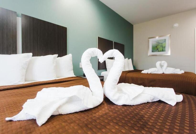 غرفة قياسية, Express Inn  Spring