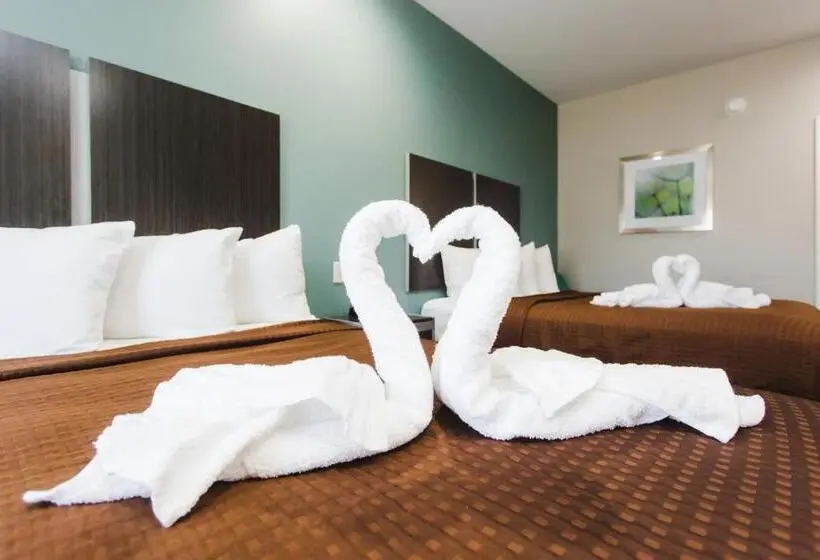 Standard-huone, Express Inn Spring