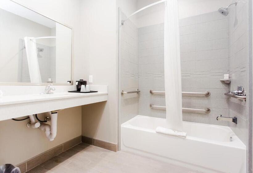 غرفة قياسية, Express Inn  Spring