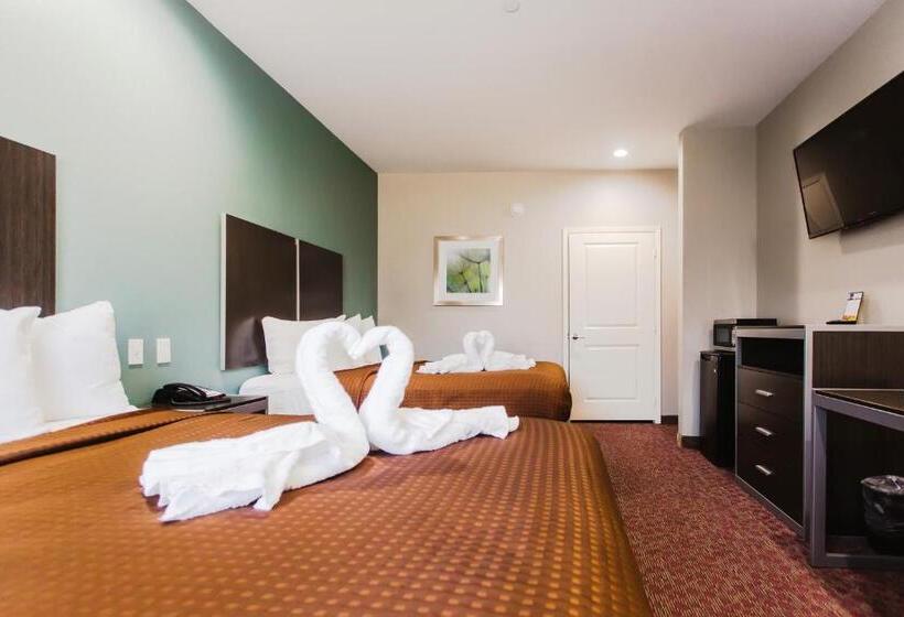 غرفة قياسية, Express Inn  Spring