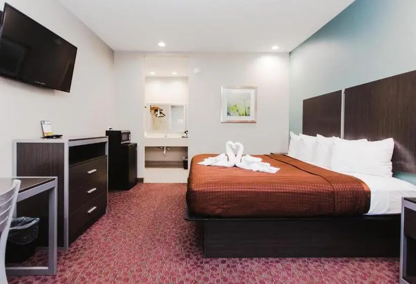 Deluxe Suite King Bed, Express Inn Spring