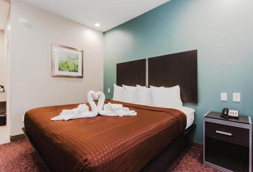 جناح سرير كينج, Express Inn  Spring