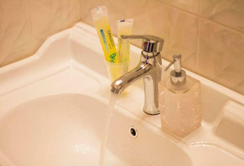 חדר סטנדרט, Phoenix Hotel Brooklyn Sunset Park