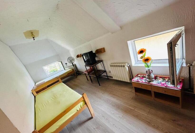 اتاق استاندارد, Rooms For Rent Sara