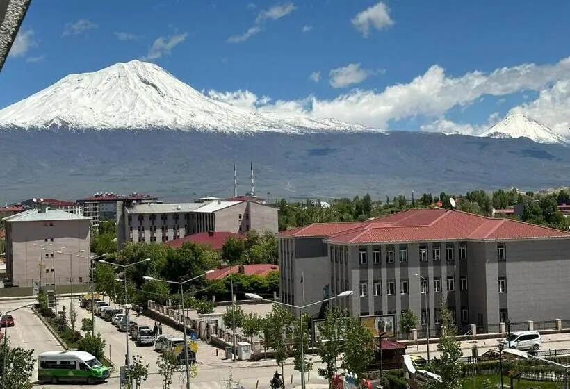 バルコニー付きシングルスタンダードルーム, Ararat