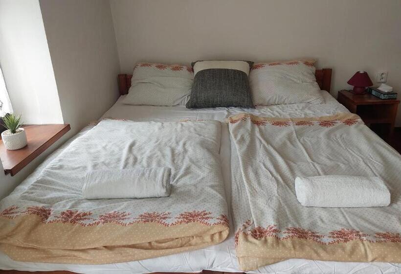 غرفة قياسية, Penzion Harmonie