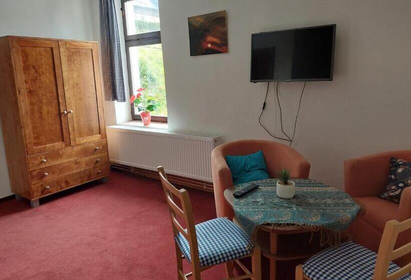 غرفة قياسية مطلة على الجبل, Penzion Harmonie