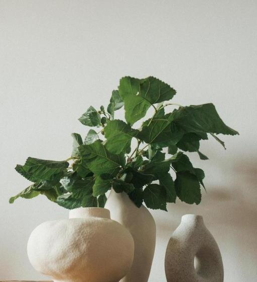 غرفة قياسية ثلاثية ذات اطلالة, Locanda Degli Ulivi