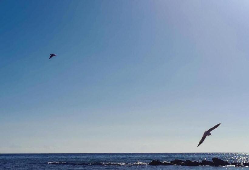 اتاق استاندارد, Luisa Room