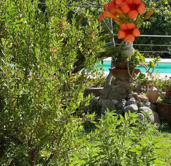 غرفة عائلية, Vida Locrese Con Piscina Salata