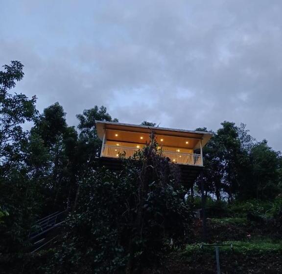 豪华房间, Cloud Forest Resort