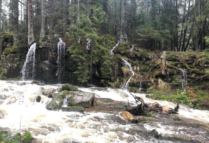 Quarto Standard Cama King, Forest Apartment Forest Escape Menzenschwand