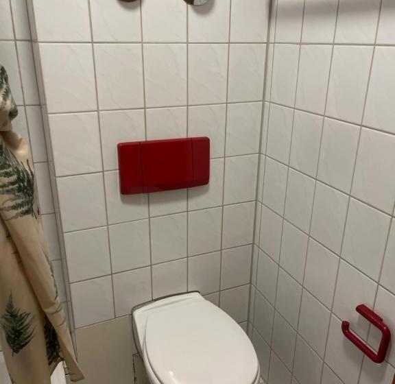 Quarto Standard Cama King, Forest Apartment Forest Escape Menzenschwand