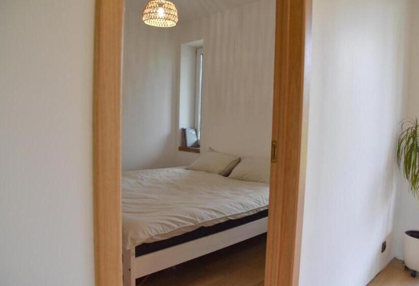 اتاق استاندارد, Home Stay Juniper