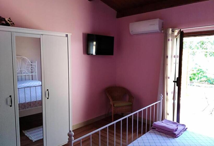 Семейный Номер, B&b Nonnotano