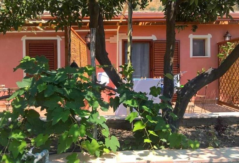 Семейный Номер, B&b Nonnotano