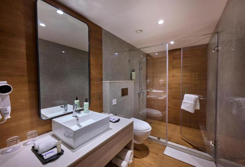 豪华房间, Delite Sarovar Portico Faridabad