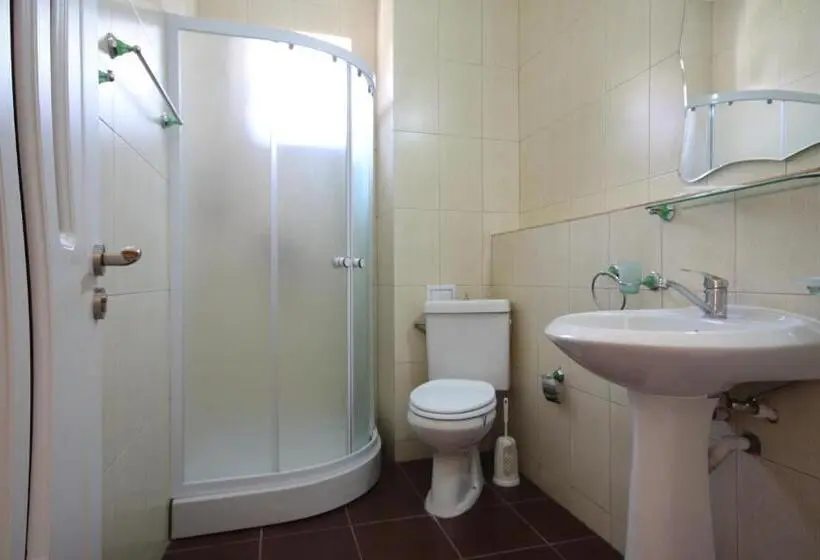 StandaardKamer, Dynes