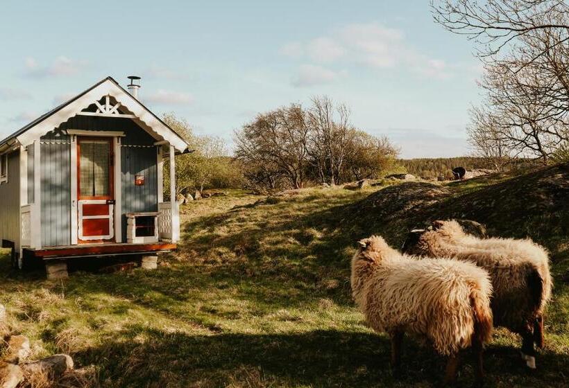 غرفة قياسية حمام مشترك, The Thistle Inn   Eko Farmstay