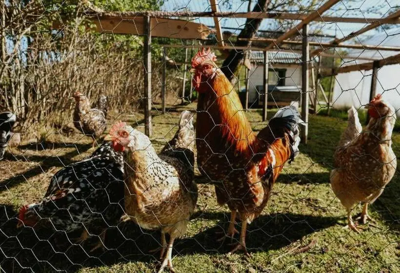 ガーデンビュースタンダードルーム, The Thistle Inn Eko Farmstay